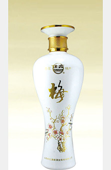 xin-120 副本.JPG