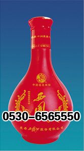 ZH-P004 500ml